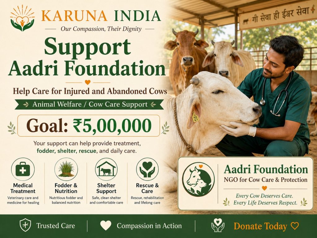 Support Aadri Foundation in Caring for Injured and Abandoned Cows